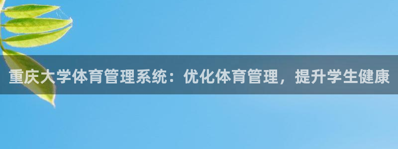 必一体育sport官方网站