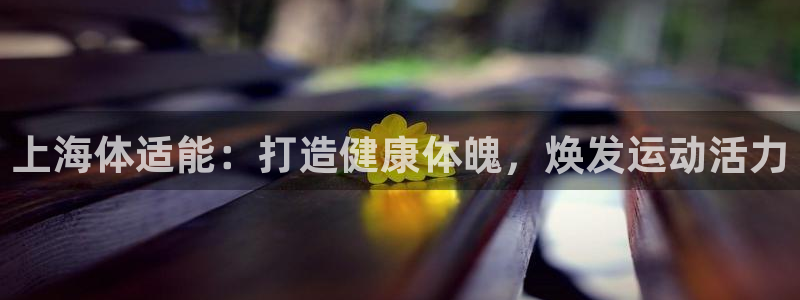 必一体育登录入口