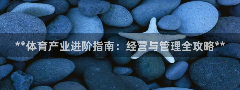 必一体育官方入口