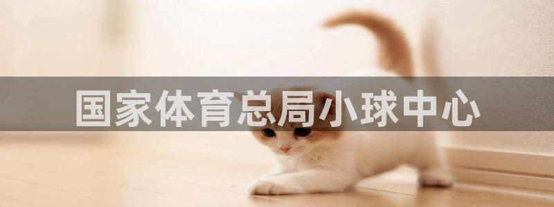 必一体育APP：国家