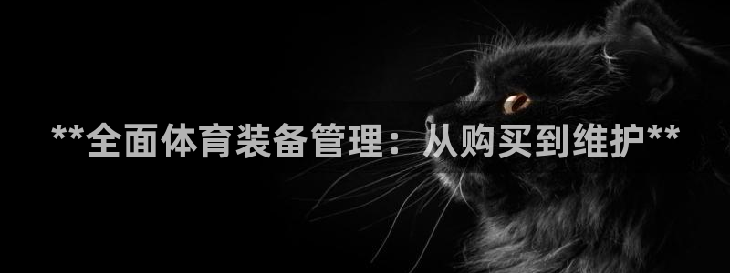 必一体育合法吗