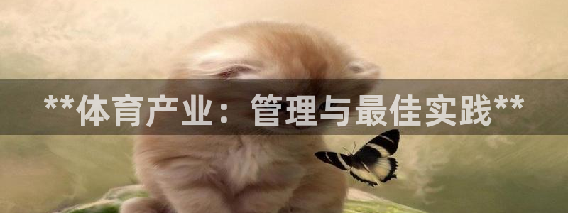 必一体育电子app：