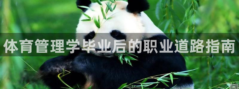 必一体育下载登入