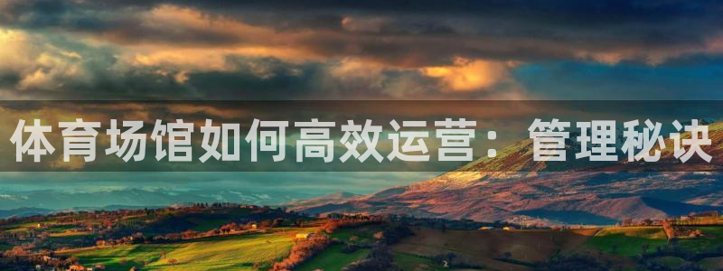 必一运动sport网