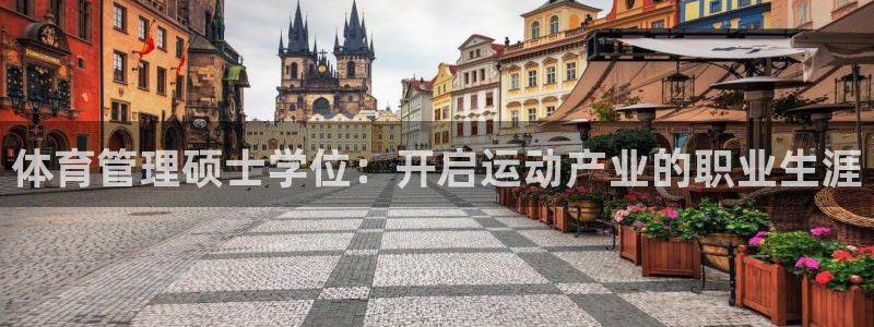 必一体育网页版登录