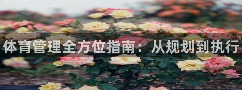 必一体育官网网站：体