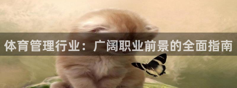 必一体育服下载最新版