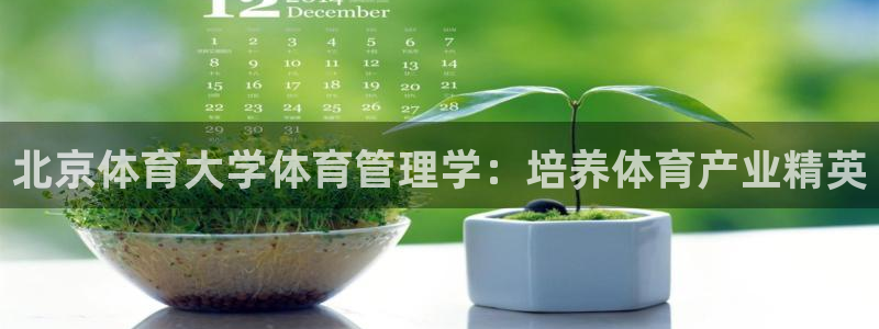 必一体育app下载