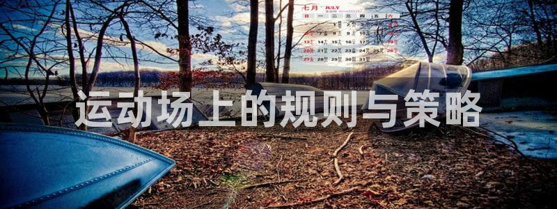 必一体育官网ios下