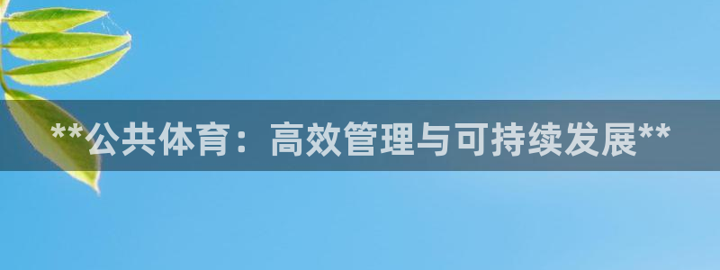 必一体育网页登录版官网