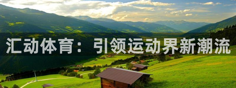 必一体育登陆：汇动体