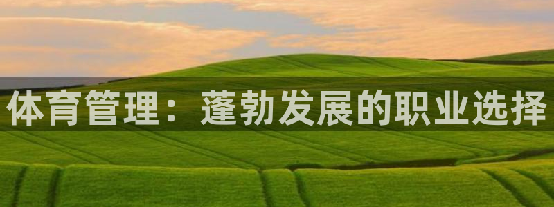 必一体育sportB体育