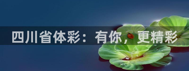 必一体育手机下载