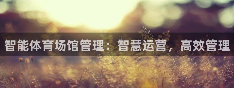 必一体育bsport下载：智能体育场馆管理：智慧运营，高效管