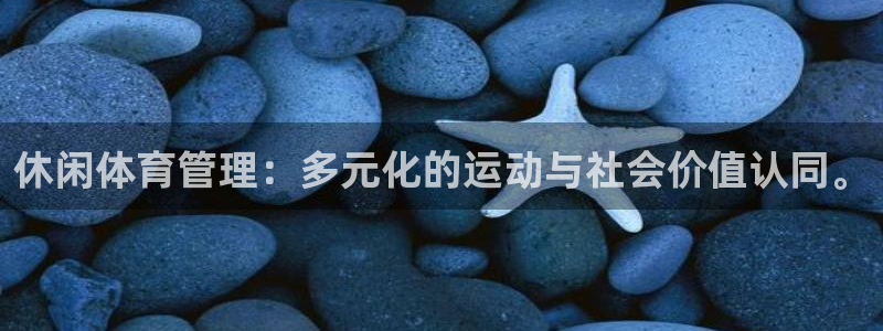 必一体育sport装