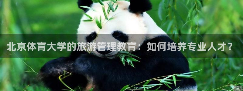 必一体育没了：北京体育大学的旅游管理教育：如何培养专业人才？