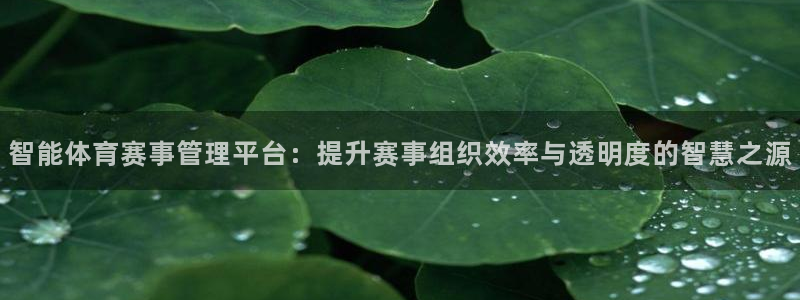 必一体育sport：智能体育赛事管理平台：提升赛事组织效率与