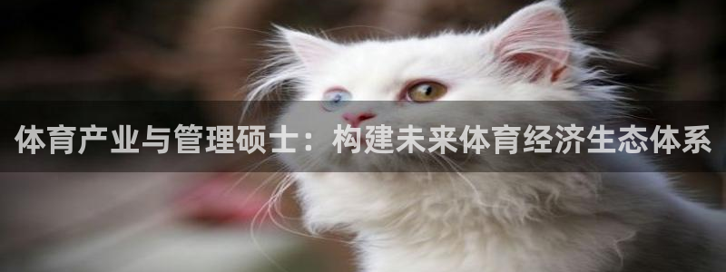 必一体育在线下载：体