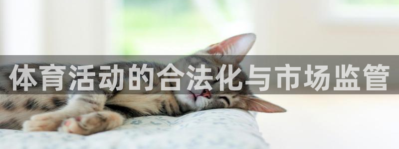 必一体育运动app下载：体育活动的合法化与市场监管
