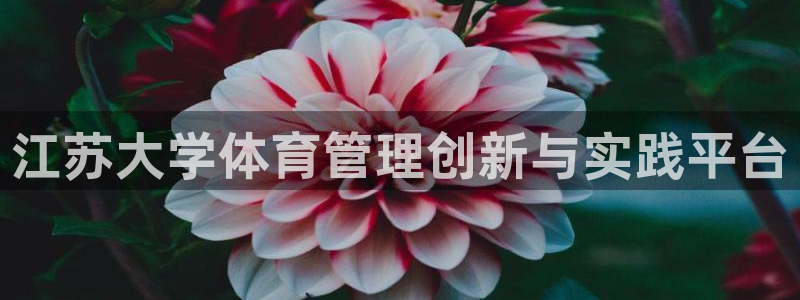 必一体育下载app：江苏大学体育管理创新与实践平台