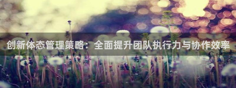 必一体育网站：创新体