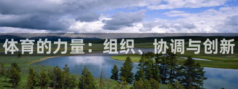 必一体育app下载最新版本苹果：体育的力量：组织、协调与创新