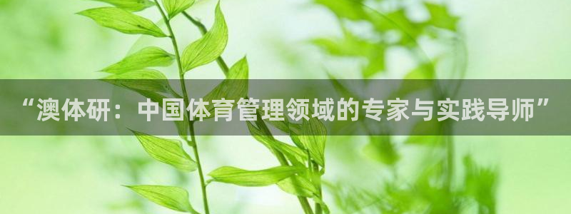 必一运动·(b-sports)官方网站：“澳体研：中国体育管