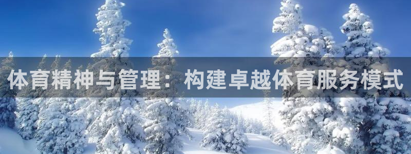Bsport体育app必一：体育精神与管理：构建卓越体育服务