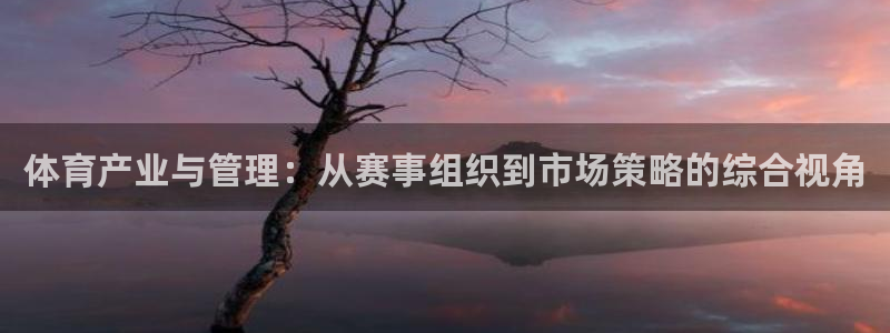 必一体育能提现大金额吗：体育产业与管理：从赛事组织到市场策略