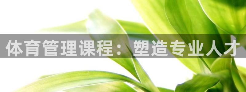 必一体育网页登陆：体