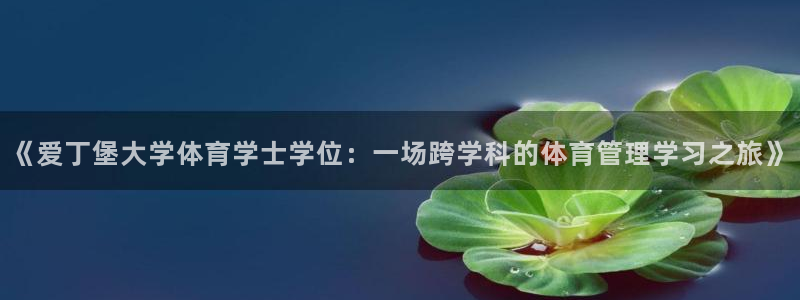 必一体育登录入口AP