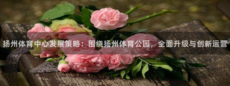 必一运动sport网