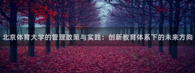 必一体育sport官