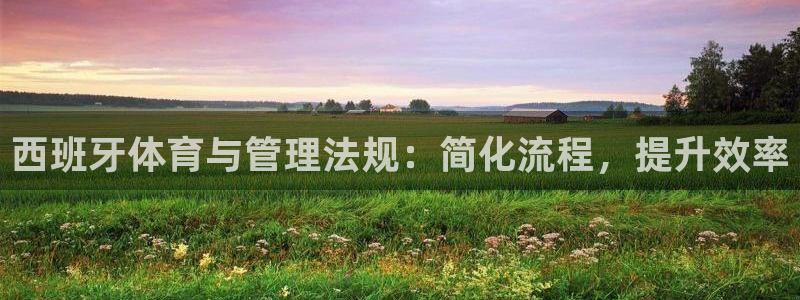 必一体育网页登录版官