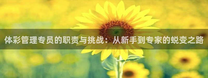 必一运动验证码：体彩管理专员的职责与挑战：从新手到专家的蜕变