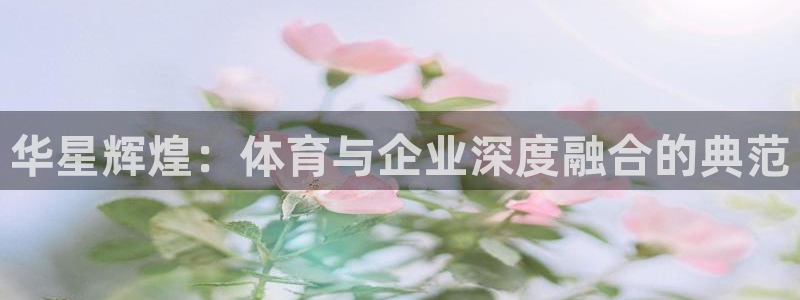 必一体育平台：华星辉