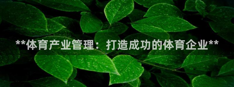 必一运动·(B-Sports)土豆：**体育产业管理：打造成