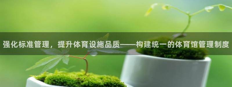 必一体育秀给网：强化标准管理，提升体育设施品质——构建统一的