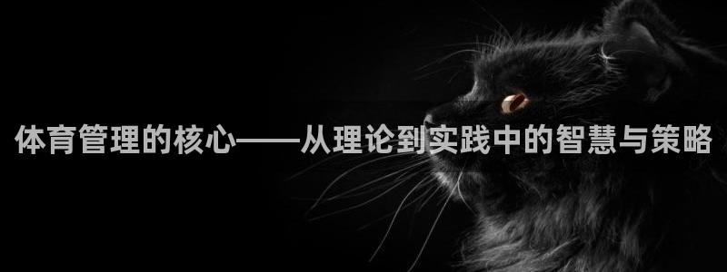 必一体育app官方正