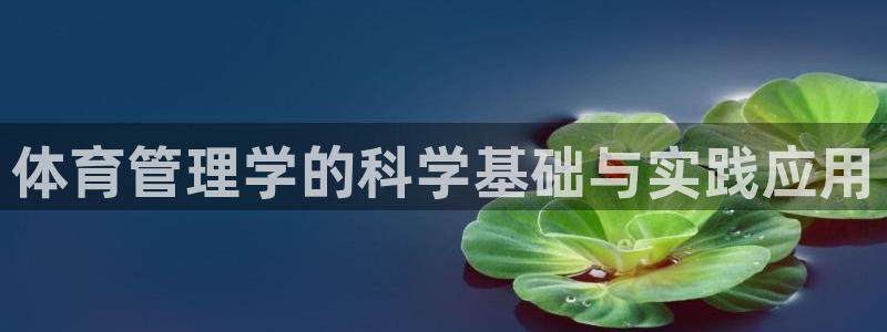 必一体育sport官