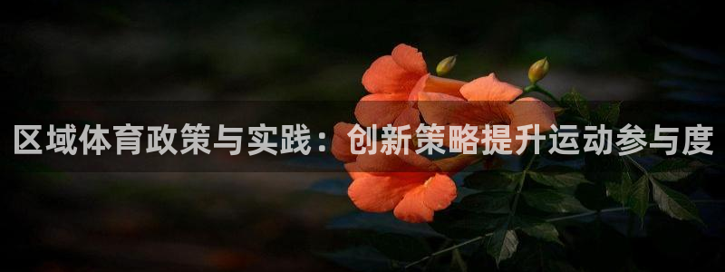 必一体育周公：区域体