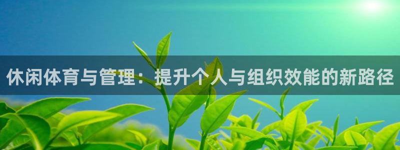 必一体育网页登陆：休闲体育与管理：提升个人与组织效能的新路径