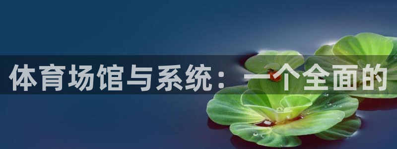 必一运动听的歌：体育