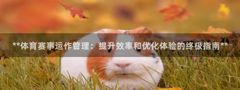 必一体育登入：**体