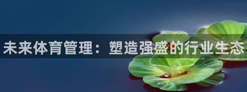 必一体育app官方：未来体育管理：塑造强盛的行业生态