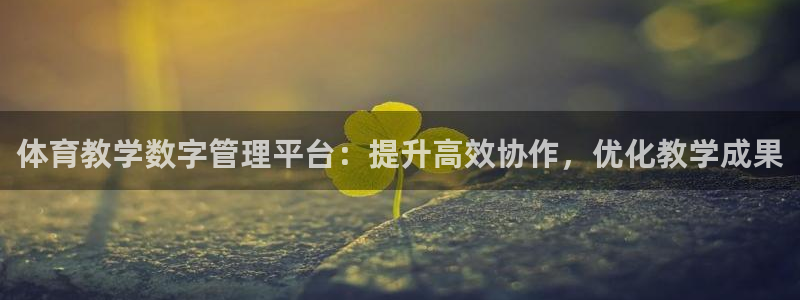 必一体育下载移动版：