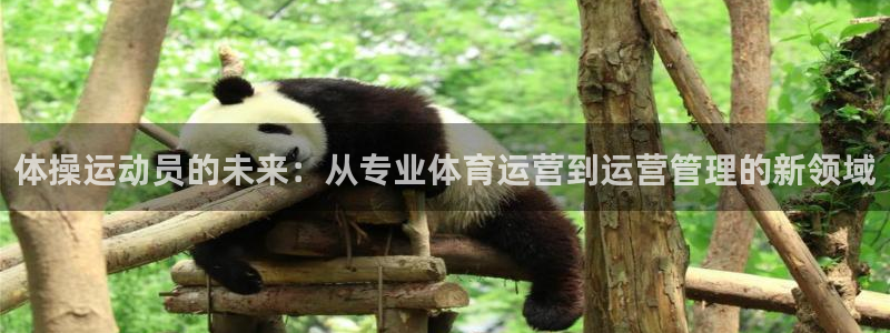 必一体育登录入口AP