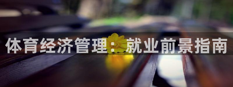 必一体育sport网页版