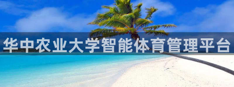 必一体育官方下载：华