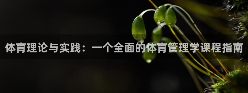 必一体育在线入口：体